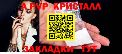 герыч Кингисепп