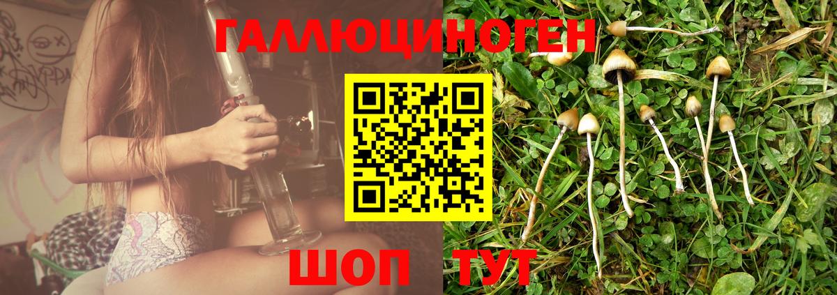продажа наркотиков  Галлюциногенные грибы GOLDEN TEACHER  Галлюциногенные грибы мицелий  Вход с VPN  Дагестанские Огни 