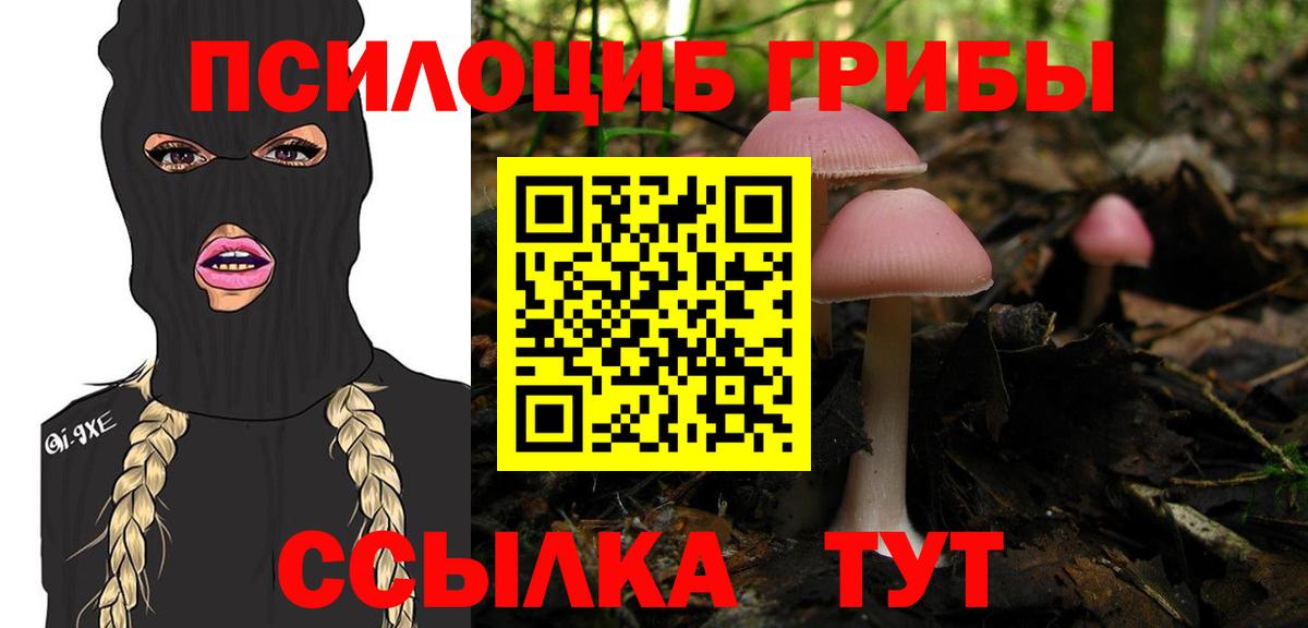 Псилоцибиновые грибы ЛСД Дагестанские Огни